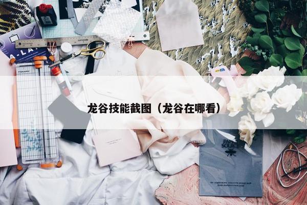 龙谷技能截图（龙谷在哪看）