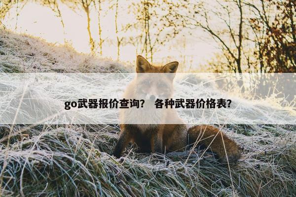 go武器报价查询？ 各种武器价格表？