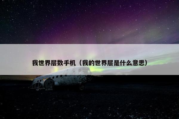 我世界层数手机（我的世界层是什么意思）