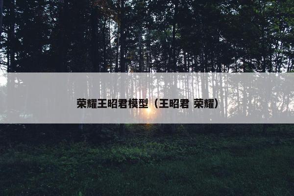 荣耀王昭君模型（王昭君 荣耀）
