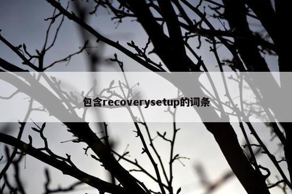 包含recoverysetup的词条