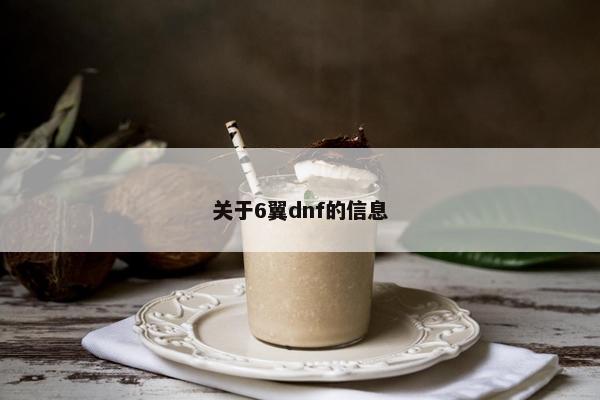 关于6翼dnf的信息 关于6翼dnf的信息
