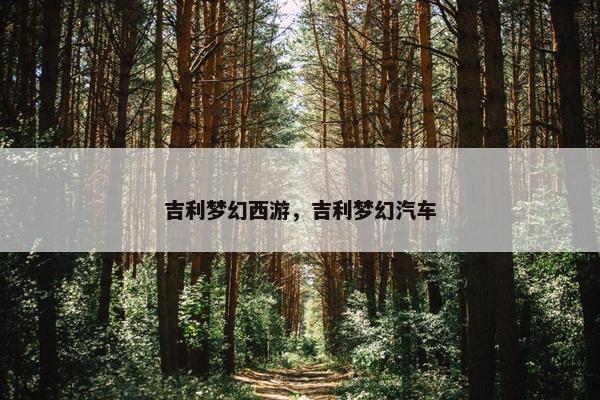 吉利梦幻西游，吉利梦幻汽车
