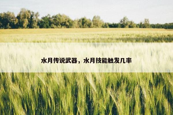 水月传说武器，水月技能触发几率