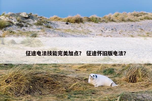 征途电法技能完美加点？ 征途怀旧版电法？