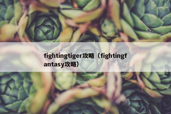fightingtiger攻略（fightingfantasy攻略）