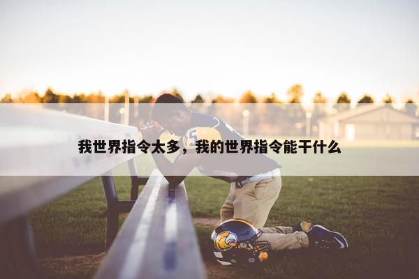 我世界指令太多，我的世界指令能干什么