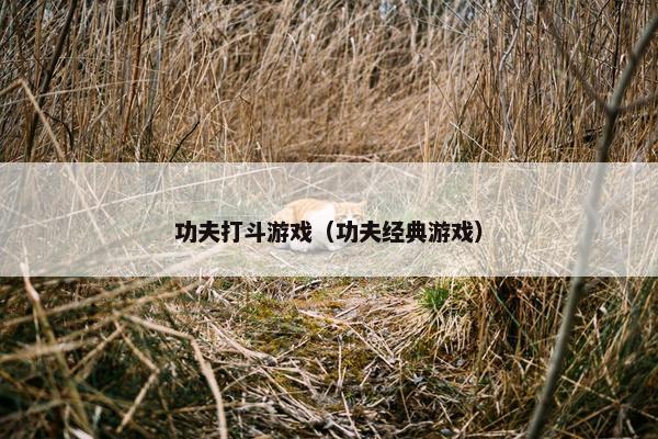 功夫打斗游戏（功夫经典游戏）