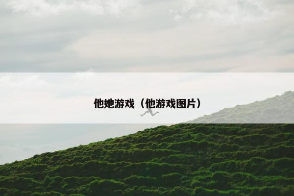 他她游戏（他游戏图片）