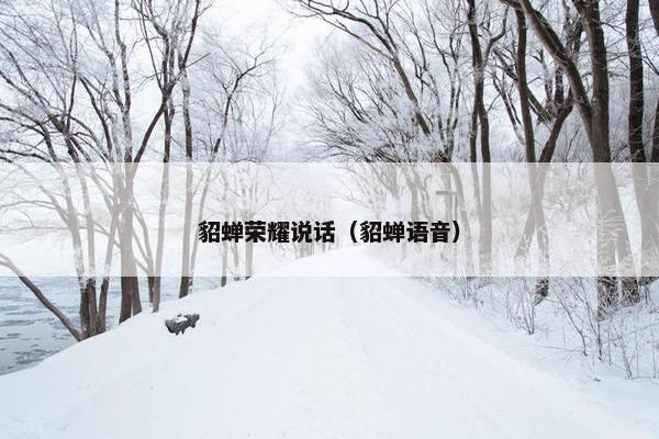 貂蝉荣耀说话（貂蝉语音）