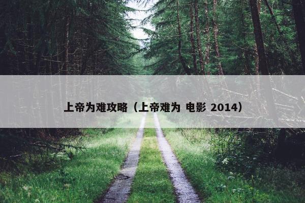 上帝为难攻略（上帝难为 电影 2014）