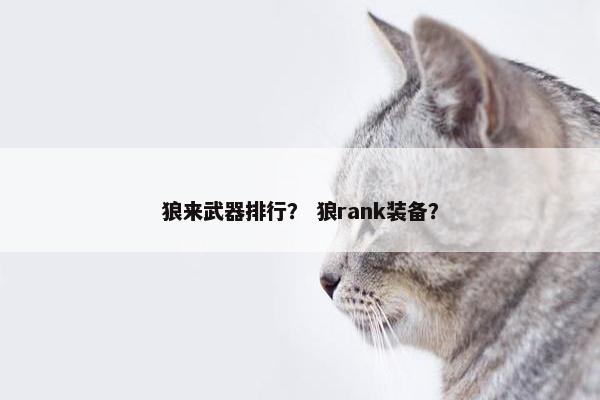 狼来武器排行？ 狼rank装备？