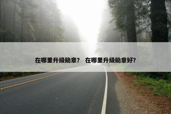 在哪里升级勋章？ 在哪里升级勋章好？