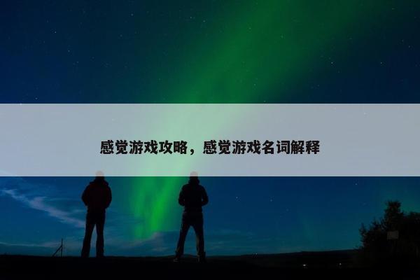 感觉游戏攻略，感觉游戏名词解释