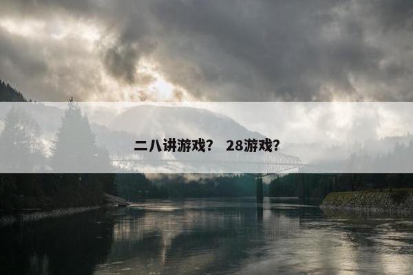 二八讲游戏？ 28游戏？