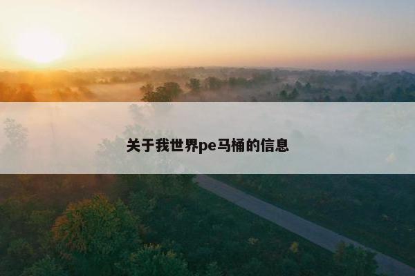 关于我世界pe马桶的信息