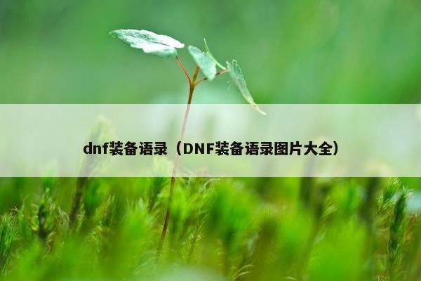 dnf装备语录（DNF装备语录图片大全）