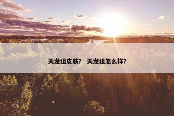 天龙狙皮肤? 天龙狙怎么样? 天龙狙皮肤? 天龙狙怎么样?