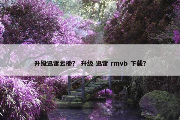 升级迅雷云播？ 升级 迅雷 rmvb 下载？