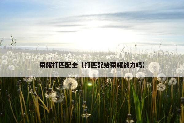 荣耀打匹配全（打匹配给荣耀战力吗）