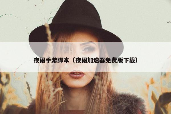 夜阑手游脚本（夜阑加速器免费版下载）