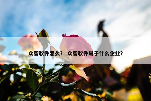 众智软件怎么？ 众智软件属于什么企业？