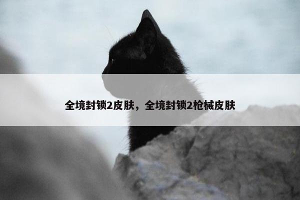 全境封锁2皮肤，全境封锁2枪械皮肤