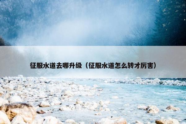 征服水道去哪升级（征服水道怎么转才厉害）