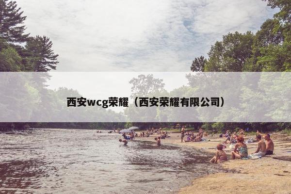 西安wcg荣耀（西安荣耀有限公司）