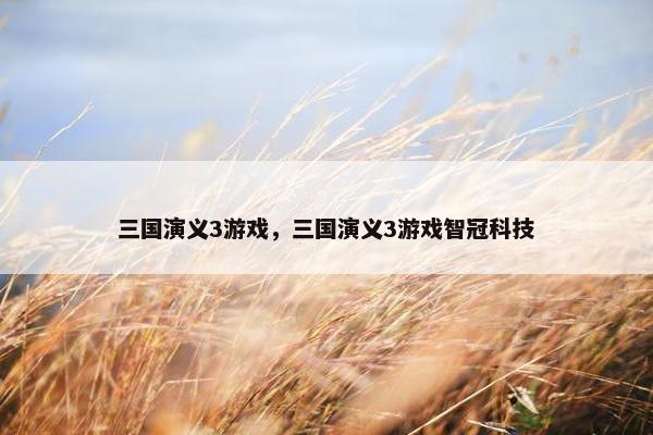 三国演义3游戏，三国演义3游戏智冠科技