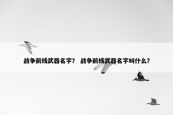 战争前线武器名字? 战争前线武器名字叫什么? 战争前线武器名字? 战争前线武器名字叫什么?