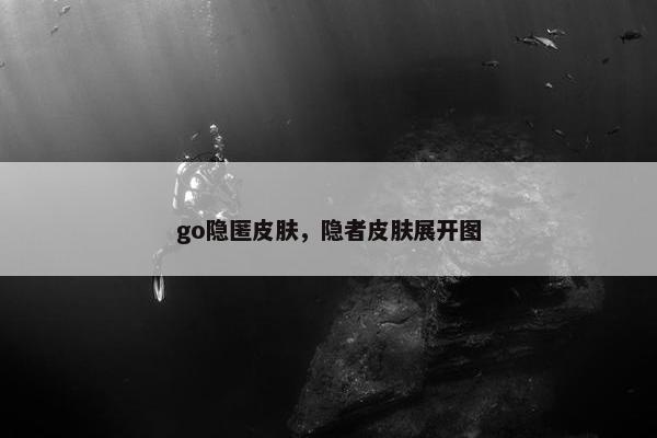 go隐匿皮肤，隐者皮肤展开图
