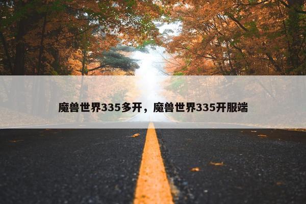 魔兽世界335多开，魔兽世界335开服端