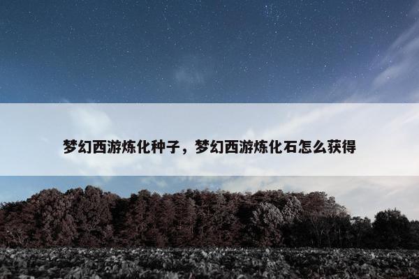 梦幻西游炼化种子，梦幻西游炼化石怎么获得