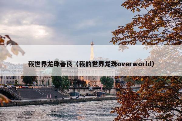 我世界龙珠善良（我的世界龙珠overworld）