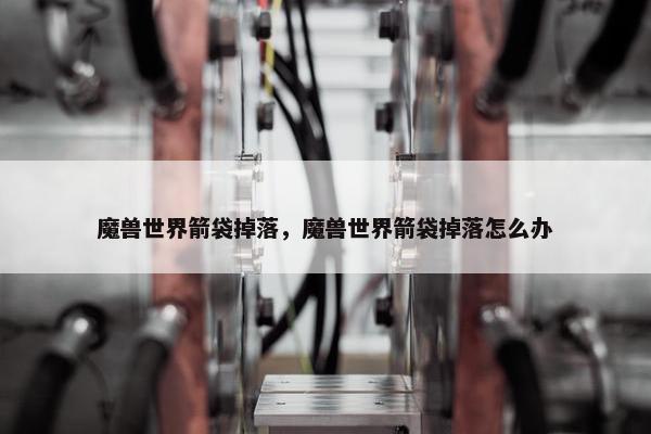 魔兽世界箭袋掉落，魔兽世界箭袋掉落怎么办