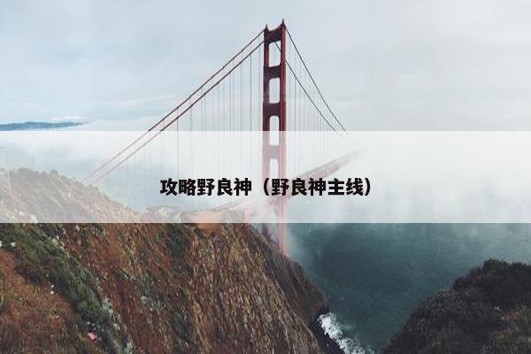 攻略野良神（野良神主线）