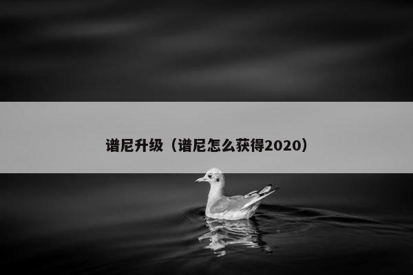 谱尼升级(谱尼怎么获得2020) 谱尼升级(谱尼怎么获得2020)