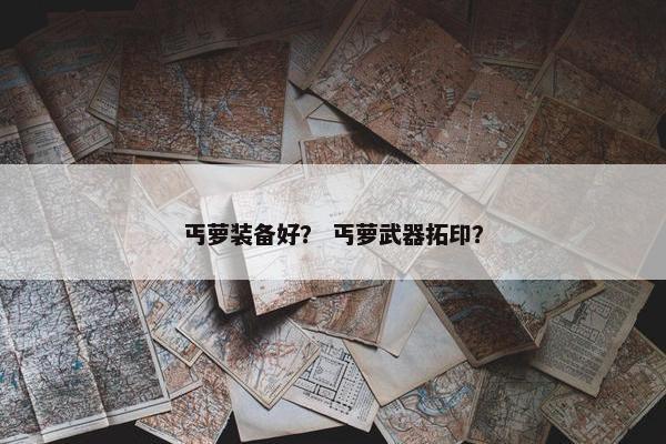 丐萝装备好? 丐萝武器拓印? 丐萝装备好? 丐萝武器拓印?