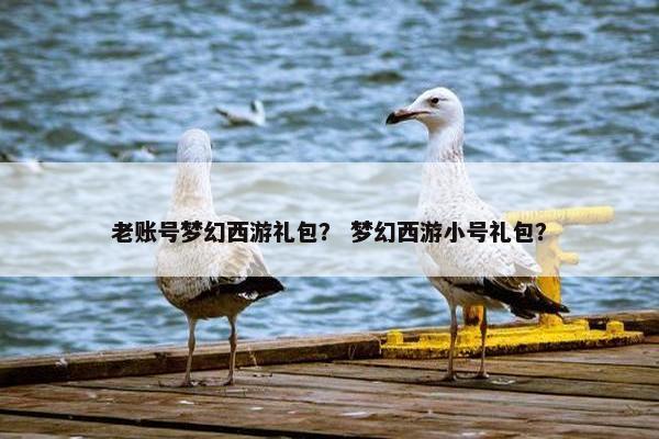 老账号梦幻西游礼包？ 梦幻西游小号礼包？