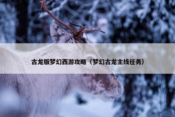 古龙版梦幻西游攻略（梦幻古龙主线任务）