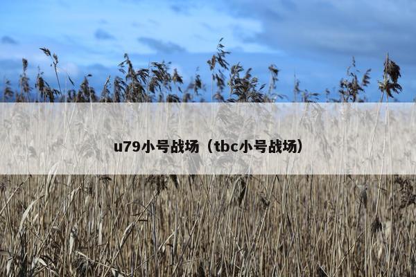 u79小号战场（tbc小号战场）