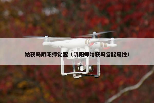 姑获鸟阴阳师觉醒（阴阳师姑获鸟觉醒属性）