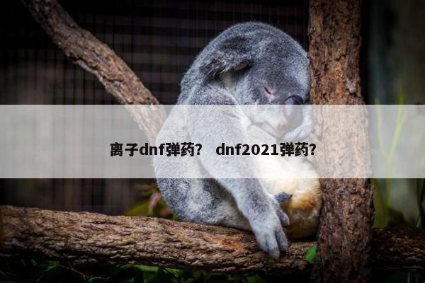 离子dnf弹药? dnf2021弹药? 离子dnf弹药? dnf2021弹药?