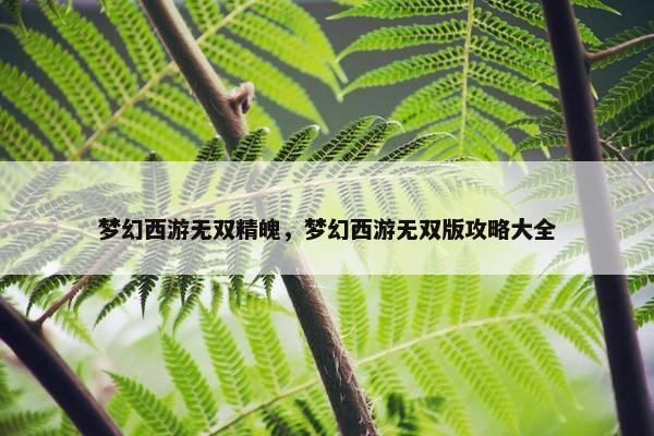 梦幻西游无双精魄,梦幻西游无双版攻略大全 梦幻西游无双精魄,梦幻西游无双版攻略大全