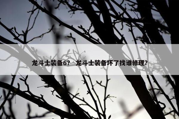 龙斗士装备6？ 龙斗士装备坏了找谁修理？