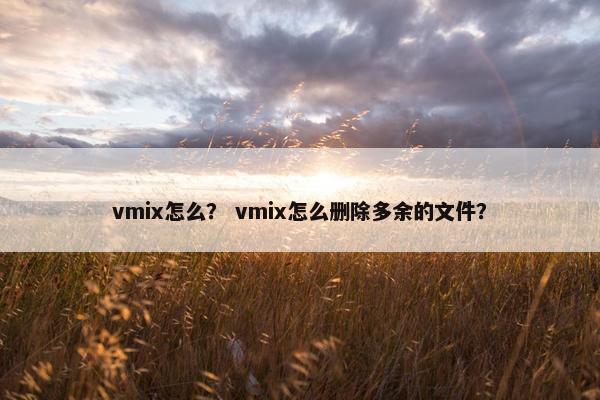 vmix怎么? vmix怎么删除多余的文件? vmix怎么? vmix怎么删除多余的文件?