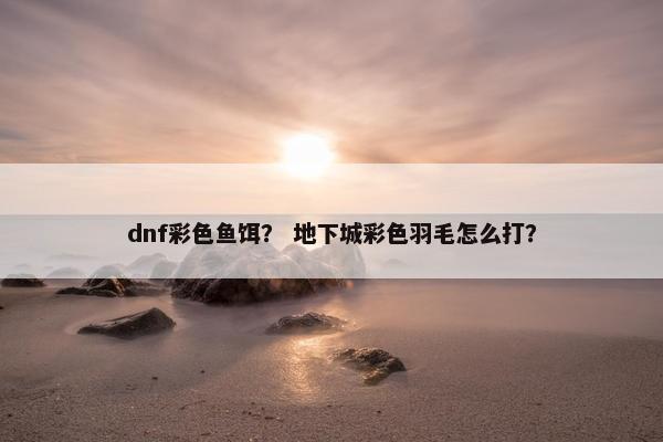 dnf彩色鱼饵？ 地下城彩色羽毛怎么打？