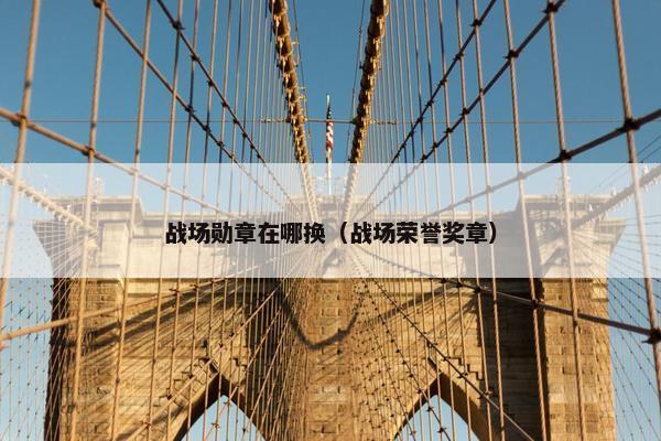 战场勋章在哪换(战场荣誉奖章) 战场勋章在哪换(战场荣誉奖章)