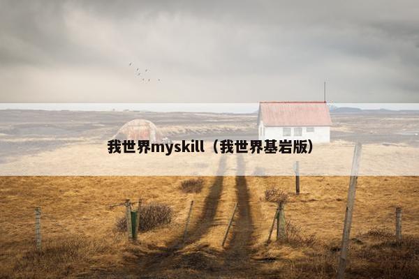我世界myskill（我世界基岩版）